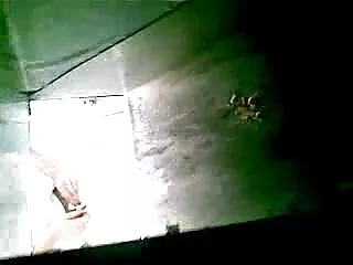Ejercicio de entrenamiento videos de sexo casero gratis mexicano de perros. Tres