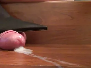 Látigo videos pornos caseros amateur gratis corazón quiere florecer